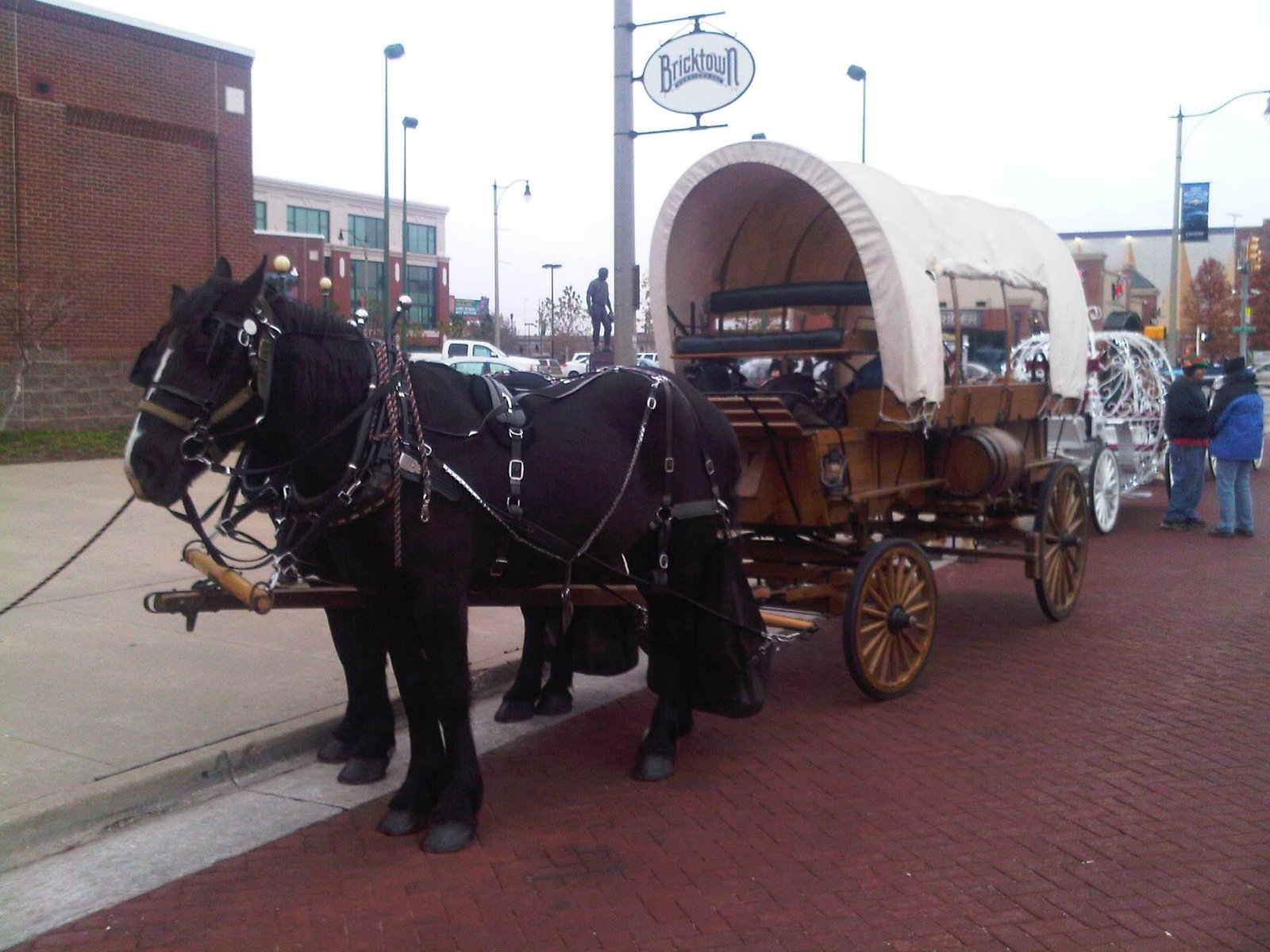 Cameo Carriage Company Horse Team