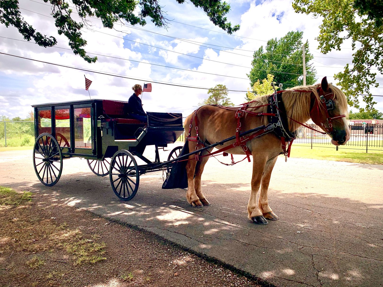 Carriage Rides Oklahoma